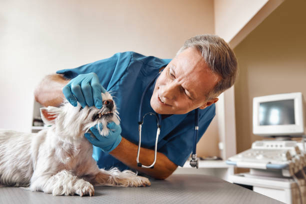 Best Pediatric Emergency Dentist in Luther, OK
